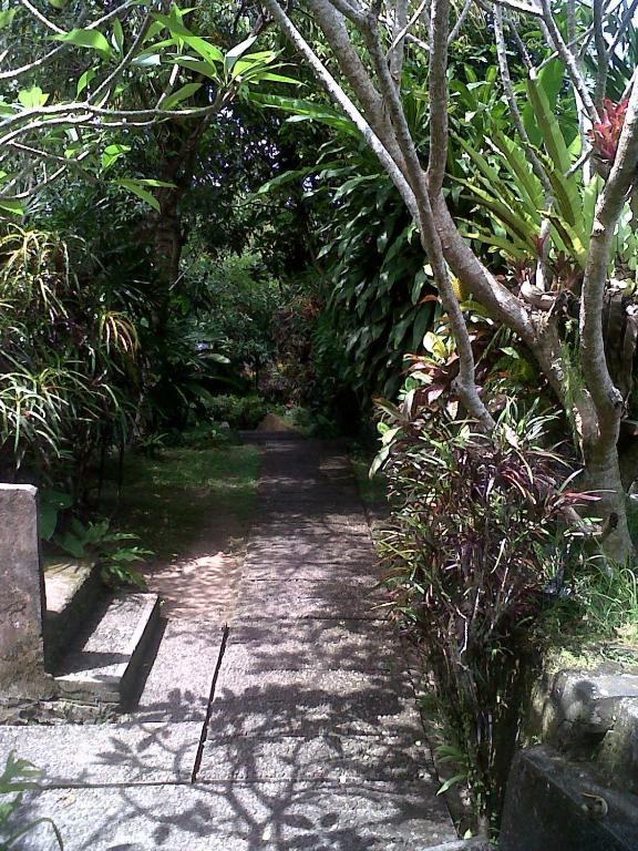 Arjana Bungalows 2 Убуд Экстерьер фото