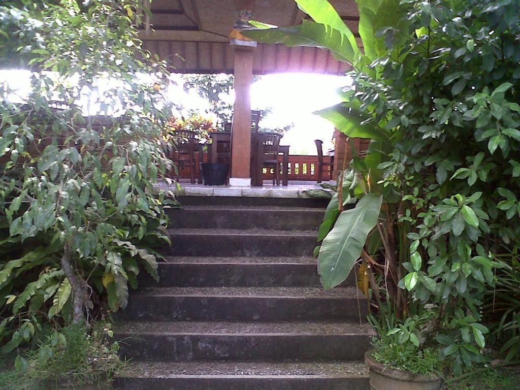 Arjana Bungalows 2 Убуд Экстерьер фото