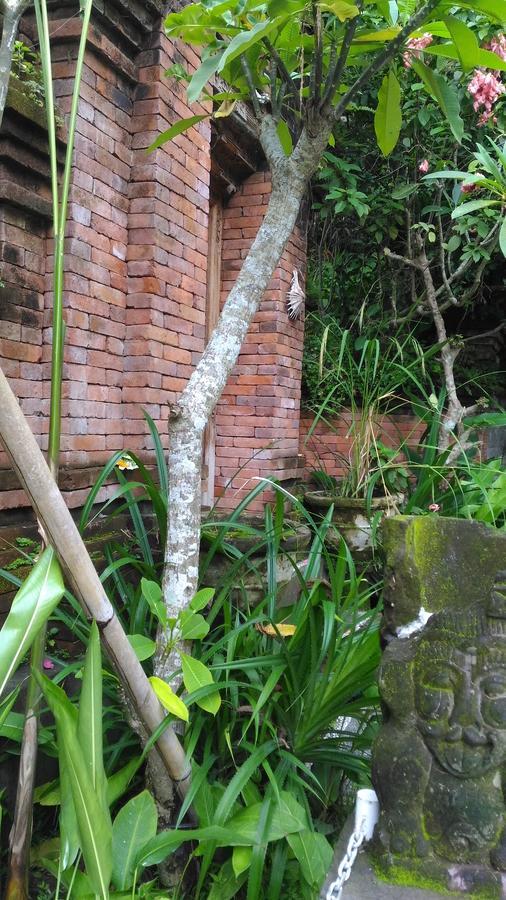 Arjana Bungalows 2 Убуд Экстерьер фото